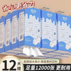 丽邦 12大提丽邦悬挂式抽纸加厚家用批发大包厕所抽纸平板卫生纸宿舍纸
