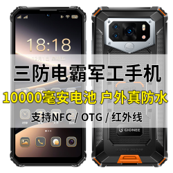 金立 户外三防智能手机正品原装安卓耐用防水10000大电池支持NFC OTG  橙色 8核+256GB