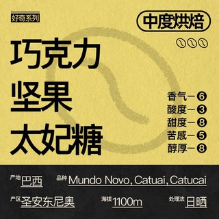 AOKKA 巴西日晒巧克拉咖啡豆 125g