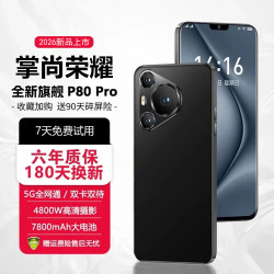 掌尚荣耀 手机 暗夜黑 16GB+1024GB