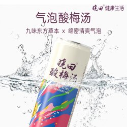 晓田 气泡酸梅汤 325ml*24瓶