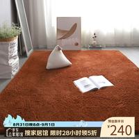 布迪思 高端羊羔绒客厅卧室地毯轻奢纯色家用沙发茶几加厚防滑毛绒床边毯 羊羔绒-咖啡色 200