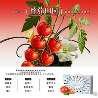 快美特 CAR MATE 快美特 CFR1041 固体香薰车用香水 其他香调