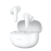 vivo TWS 5i 真无线蓝牙耳机