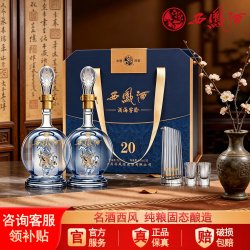 西凤酒 西凤白酒官方旗舰店20年礼盒2瓶装纯粮食酿造香高档送礼45/52度g2