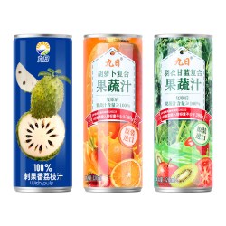 九日 越南进口九日冰祖nfc100%纯果汁菠萝芒果刺果番荔枝汁含果肉320mL