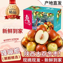 京典光年 陕西大荔冬枣 冰糖脆甜冬枣 净重2斤大果彩箱（12-15g）