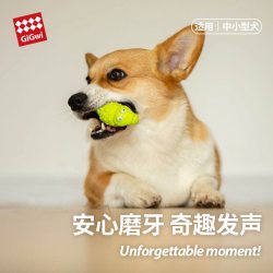 GiGwi 狗狗玩具Q仔小狗幼犬磨牙 解闷神器