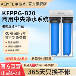 KEMFLO 康富乐KEMFLO 商用中央净水系统 前置过滤器双级KFPPG-B20台
