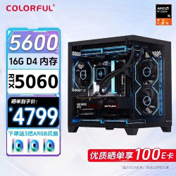 七彩虹 R5 5600 RTX 5060 组装电脑主机