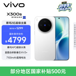 vivo X300s 5G手机 12GB+256GB 银白