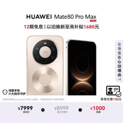 华为 Mate 80 Pro Max 手机 16GB+512GB 极昼金