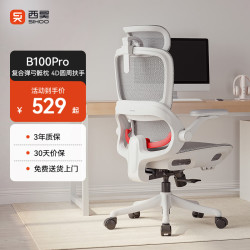 西昊 久坐舒适 人体工学椅  B100Pro 无脚踏 弹弓骶枕+3D头枕 转椅
