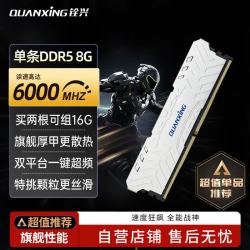 铨兴 8GB DDR5 6000 台式机内存条 马甲条 XMP超频兼容英特尔AMD 高速稳定游戏办公通用 AI电脑存储配件