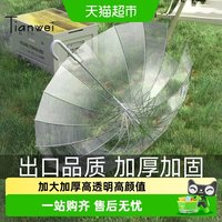 88VIP：天玮伞业 天玮16骨透明雨伞长柄伞大号双人女白色网红氛围感雨伞加大