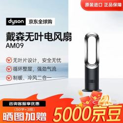 dyson AM09 多功能无叶电风扇 冷暖合一 四季适用落地风扇AM07升级款 黑色
