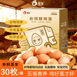 晋龙食品 谷饲无抗鲜鸡蛋