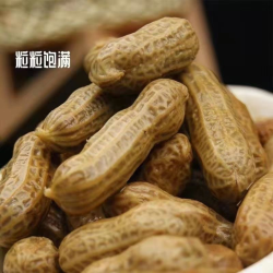 408g*4袋好吃停不下来的卤味花生真空饱满浓香