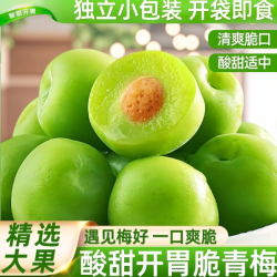 泰小滋 脆梅青口梅独立包装酸甜脆青梅蜜饯果脯零食开胃凉果