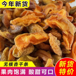 当年新货正宗杏干条 无核红杏条干 杏肉杏脯酸甜味休闲零食水果干