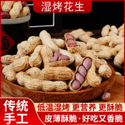 龙花 紫衣湿烤粒粒红500g  花生硬香多仁龙岩花生带壳香酥红衣花生零食