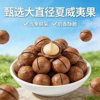 王口街 夏威夷果奶香味新货薄壳大颗粒坚果炒货孕妇干果零食批发