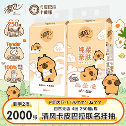 清风 联名卡皮抽纸悬挂4层250抽面巾纸家庭实惠装餐巾纸卫生纸纸巾