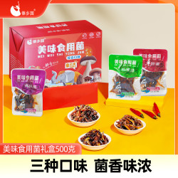 傣乡园 即食鸡枞菌牛肝菌松茸菌零食卤味休闲小零食专属