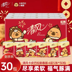 清风 卡皮巴拉新春款手帕纸小包4层30包可湿水面巾纸便携纸巾