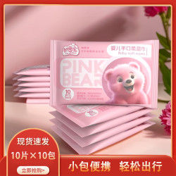 加恩宝 便携婴儿手口清洁专用出门随身学生母婴小包10抽湿纸巾