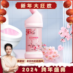 兰家 洁厕灵马桶清洁剂清香型强力除垢去黄留香厕所马桶清洁剂洁厕灵