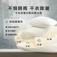 美的 MH100V11F