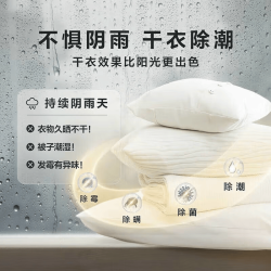 美的 MH100V11F