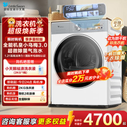 小天鹅 TH10VE40W