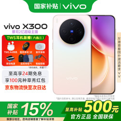 vivo X300 5G 手机 幸运彩 12GB 512GB