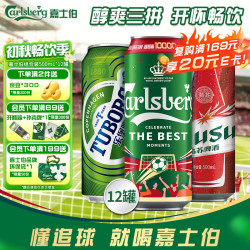 嘉士伯 啤酒组合装  整箱装 500mL