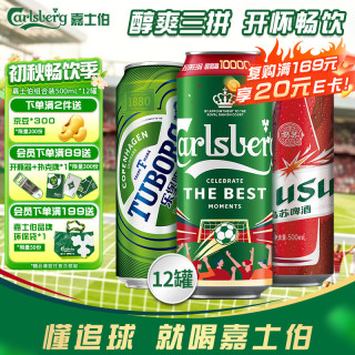 嘉士伯 啤酒组合装  整箱装 500mL