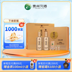 习酒 金钻  酱香型  高度白酒 商务送礼  53度 500mL 2瓶 礼盒装