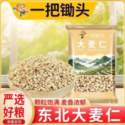 一把锄头 大麦仁新小麦煮粥脱皮新鲜谷物 2斤