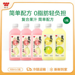 味全 果汁900ml饮料复合果蔬汁冷藏饮料家庭装分享4瓶品聚会 芭乐青提900ml*2+小青柠900ml*2