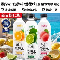 皓贺堂 无糖苏打气泡水 330ml*24瓶