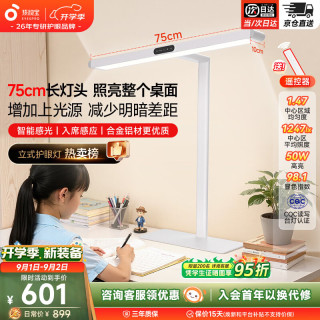 孩视宝 R系列标准款 50W自然光 台式大路灯