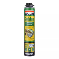 速的奥 通用型发泡胶填缝剂 无甲醛 750ml（送工具）