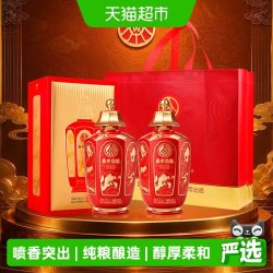 盛世佳 五粮液股份公司出品 盛世佳酿红尊 浓香型白酒52度500ml*2瓶礼盒装