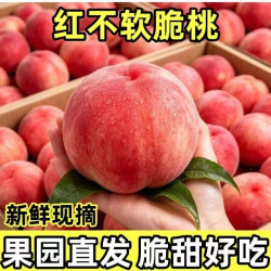 良果谷 水蜜桃头茬山西运城水蜜桃5斤/净重4.5斤