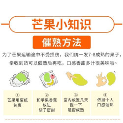 正宗凯特芒芒果新鲜当季水果大芒果攀枝花澳芒青整箱孕妇水果包邮