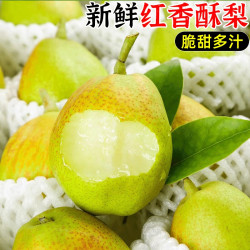福意鲜 红香酥梨水果新鲜整箱当季包邮薄皮青酥梨脆蜜雪梨5香梨梨子