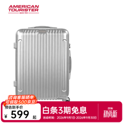 美旅 661 万向轮拉杆箱 银色 21英寸