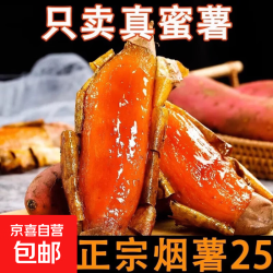 山东沙地蜜薯番薯烟薯 25号蜜薯中大果 带箱2斤