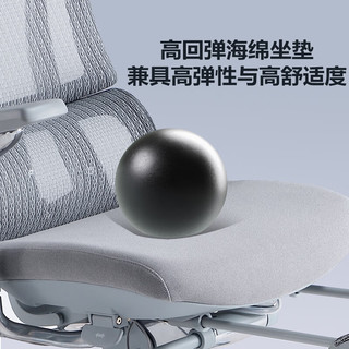 LIANSHU恋树 L2韩网版 人体工学椅 黑色 海绵座垫 无脚托